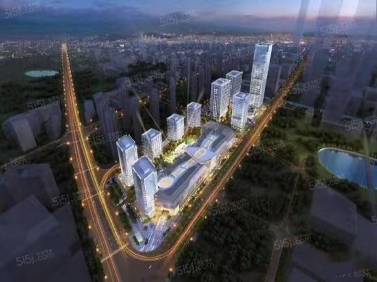 龙湖天璞配套图