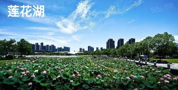 中冶锦绣和鸣第12张图