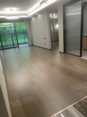 星河盛世新著第2张图