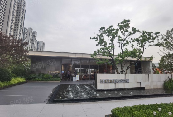 星河盛世新著第8张图