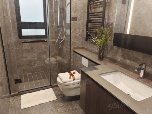 龙湖天璞第6张图