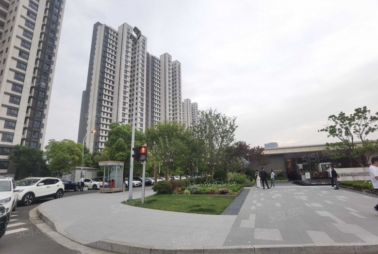 星河盛世新著实景图