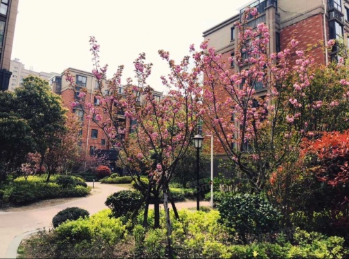 龙海骏景第9张图