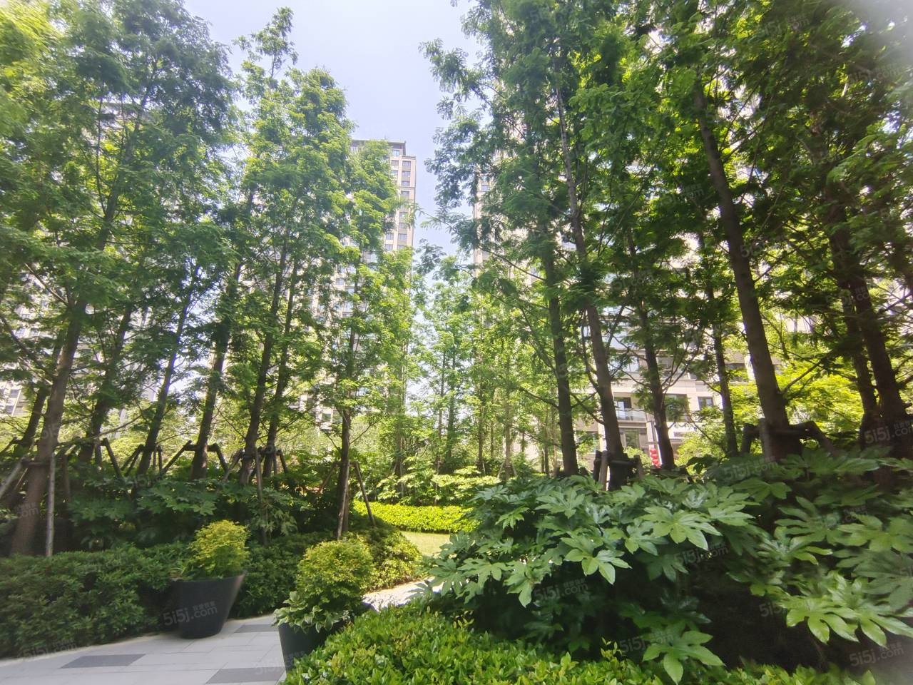 科技城金茂府实景图