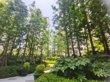 科技城金茂府开发商营业执照相册