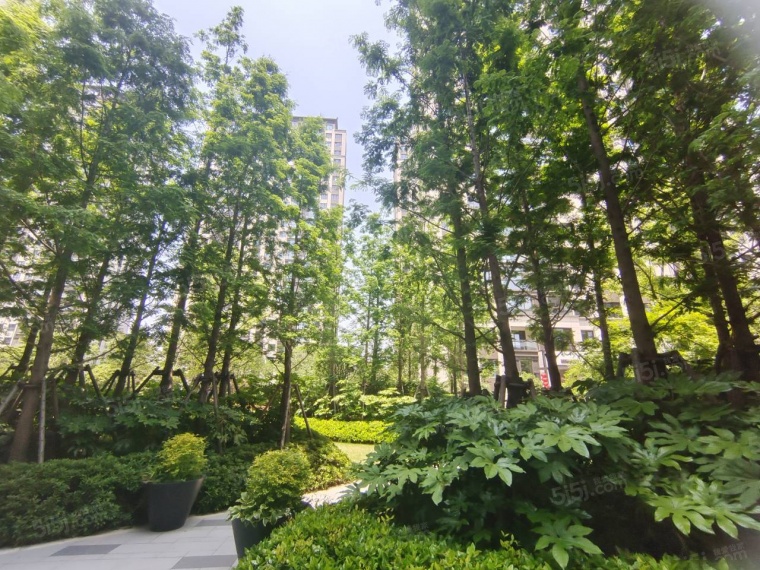 科技城金茂府实景图