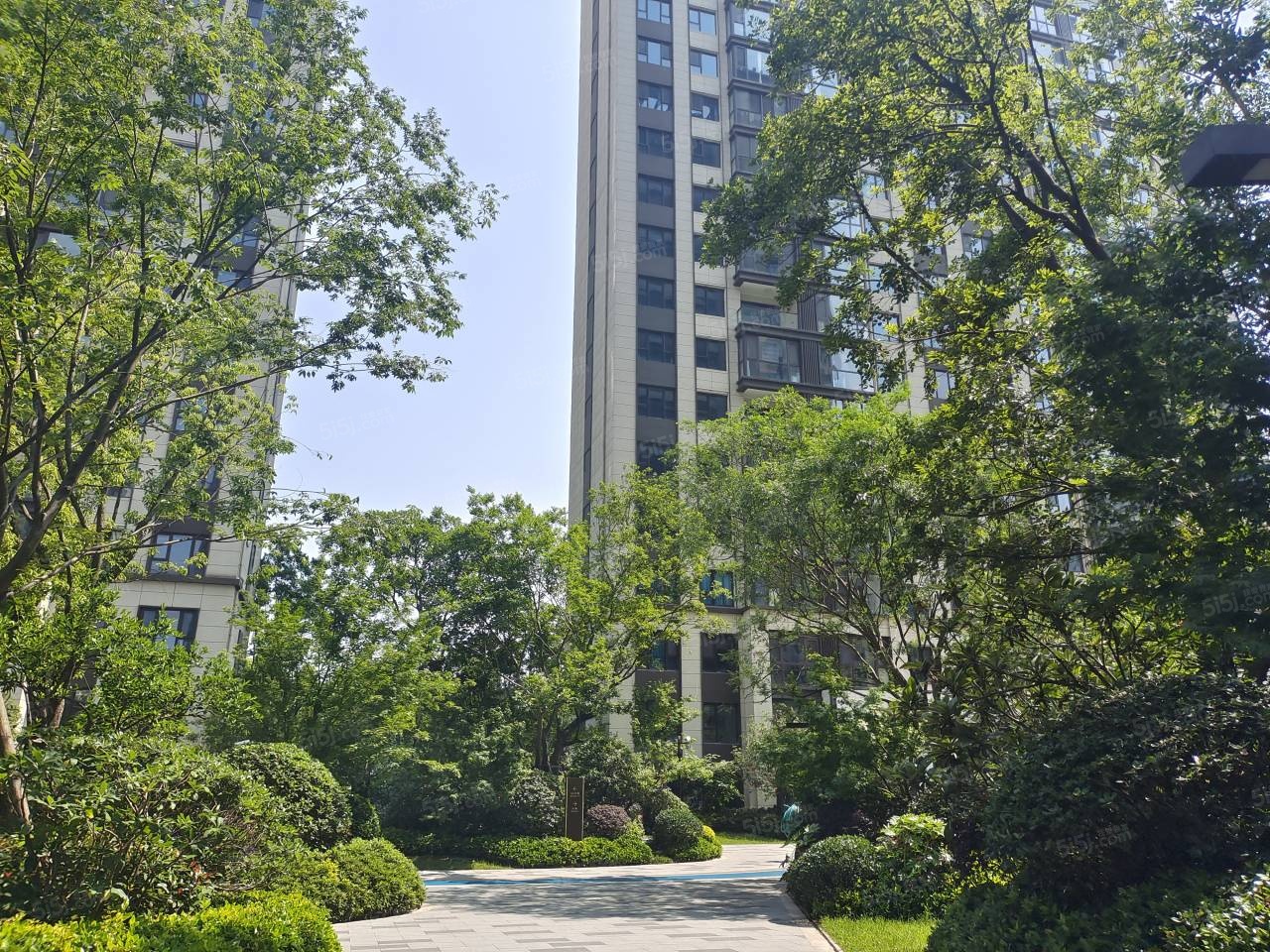 科技城金茂府实景图