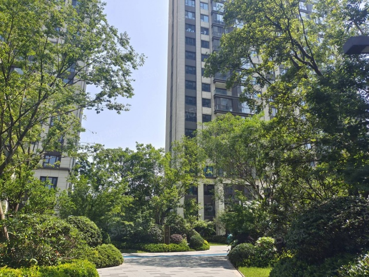 科技城金茂府实景图