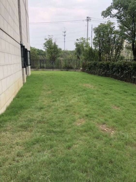 雅居乐新乐府第4张图