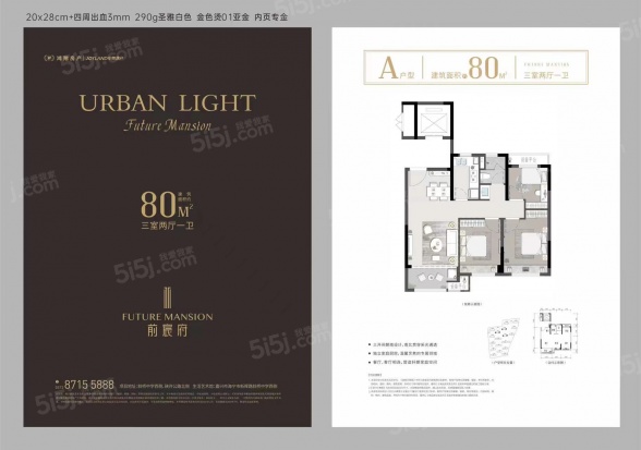 3室2厅1卫户型详情