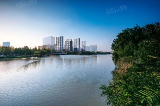 枫翠岚湾第3张图