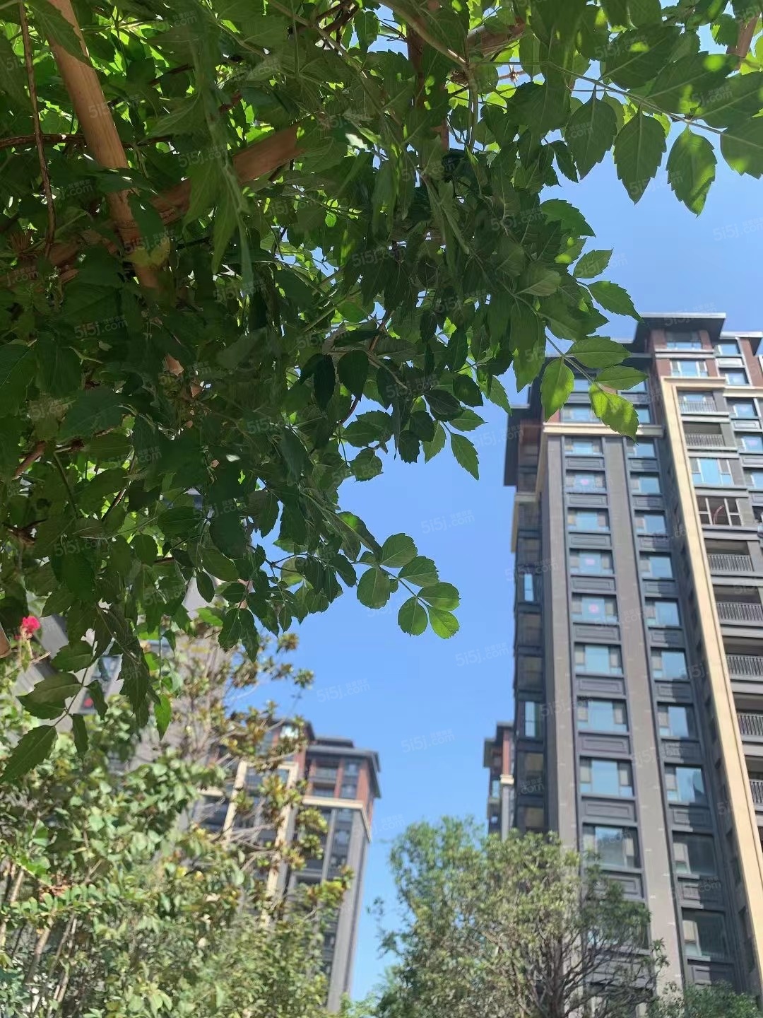 东方宇亿万林府实景图