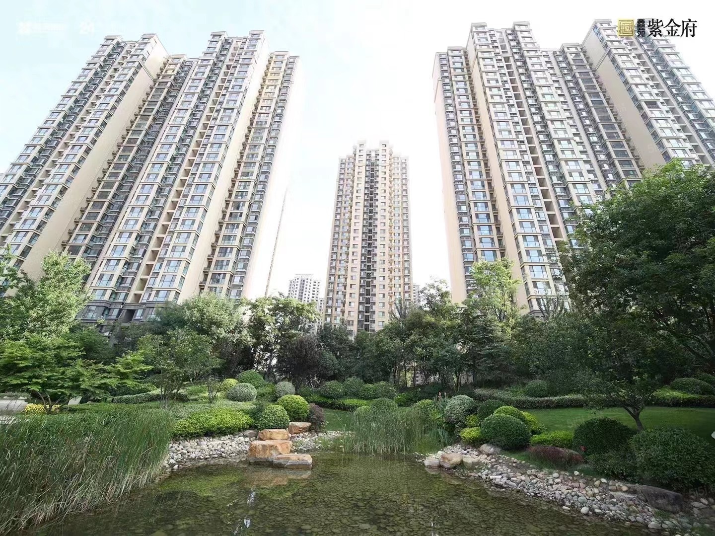 鑫苑国际新城5期·紫金府实景图