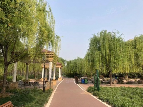 亚星金运外滩第9张图