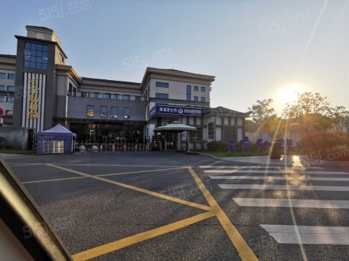 橘红九里第18张图