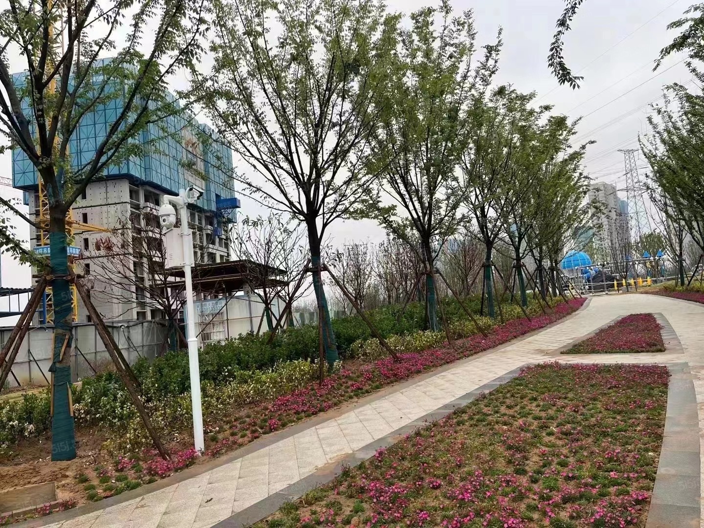 碧桂园名门时代城实景图