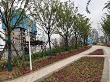 碧桂园名门时代城二级合作房营业执照相册