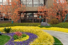 建业河畔洋房二级合作房营业执照相册