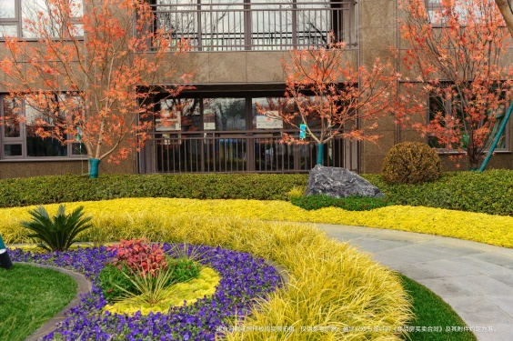 建业河畔洋房第8张图