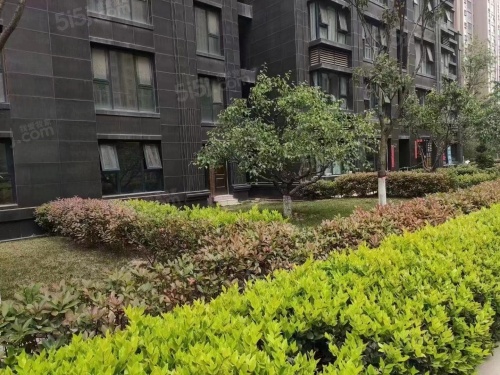 亚星云水居第7张图