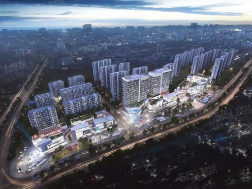 华昌金沙一品第10张图