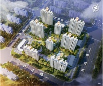 鑫苑远洋臻园二级合作房营业执照相册