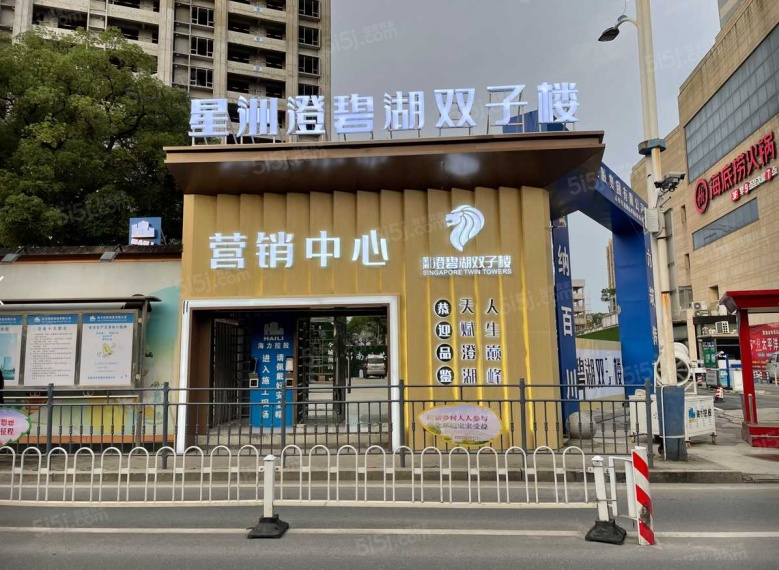 星洲澄碧湖双子楼实景图