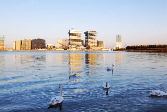 碧桂园云境第4张图