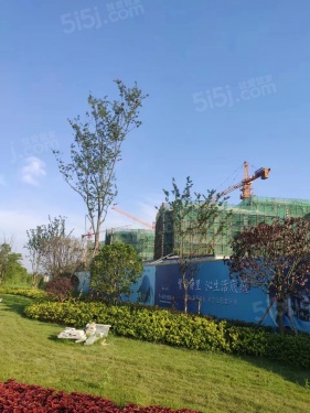 橘红九里第14张图