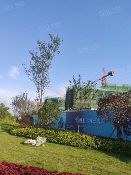 橘红九里实景图