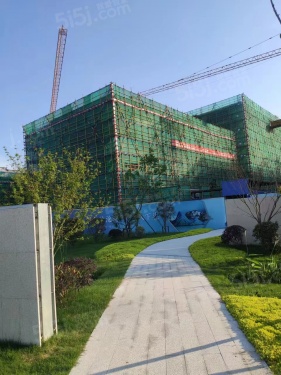 橘红九里第12张图