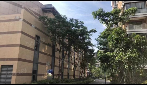 梧桐国际第15张图