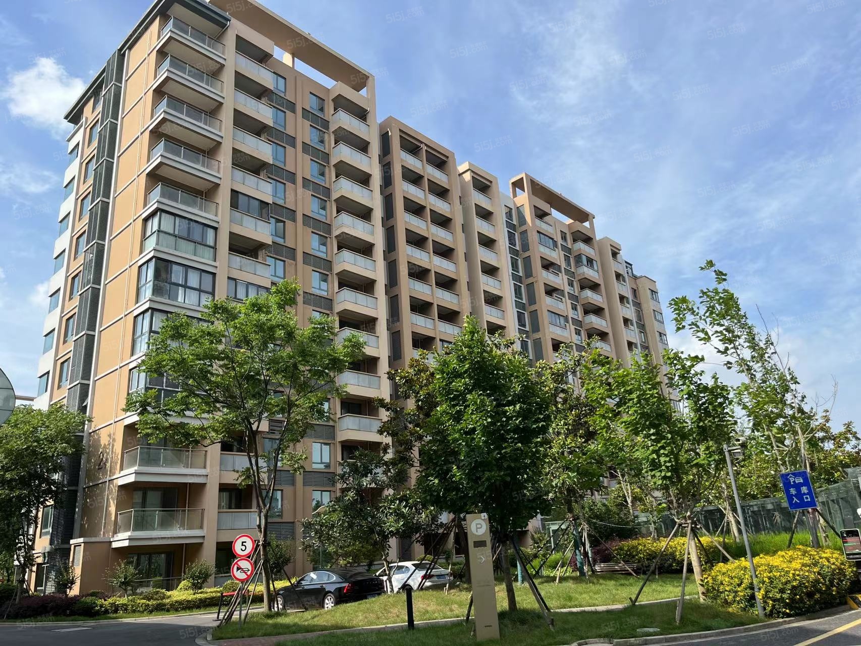 梧桐国际实景图