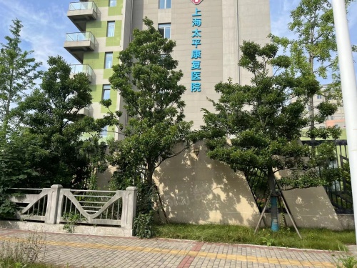 梧桐国际第14张图