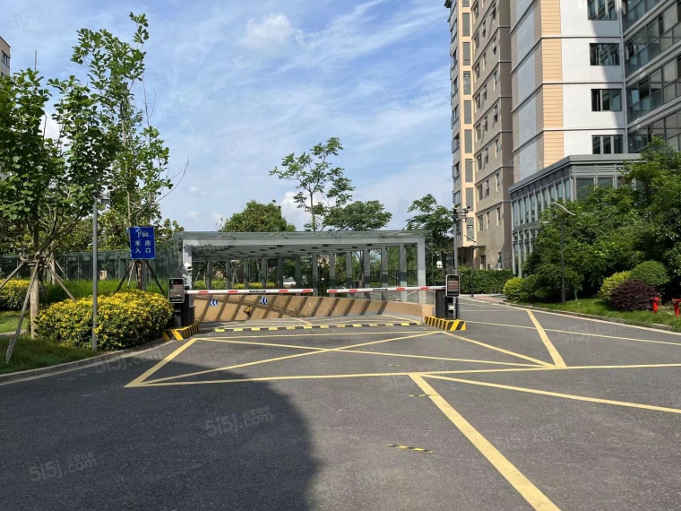 梧桐国际实景图