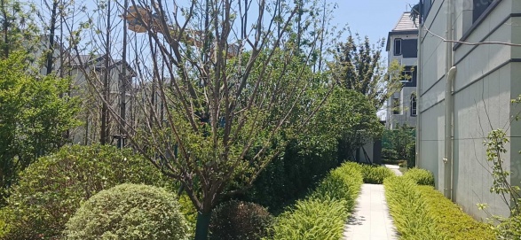 保利明玥潮升第14张图