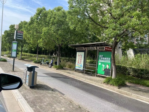 梧桐国际第13张图