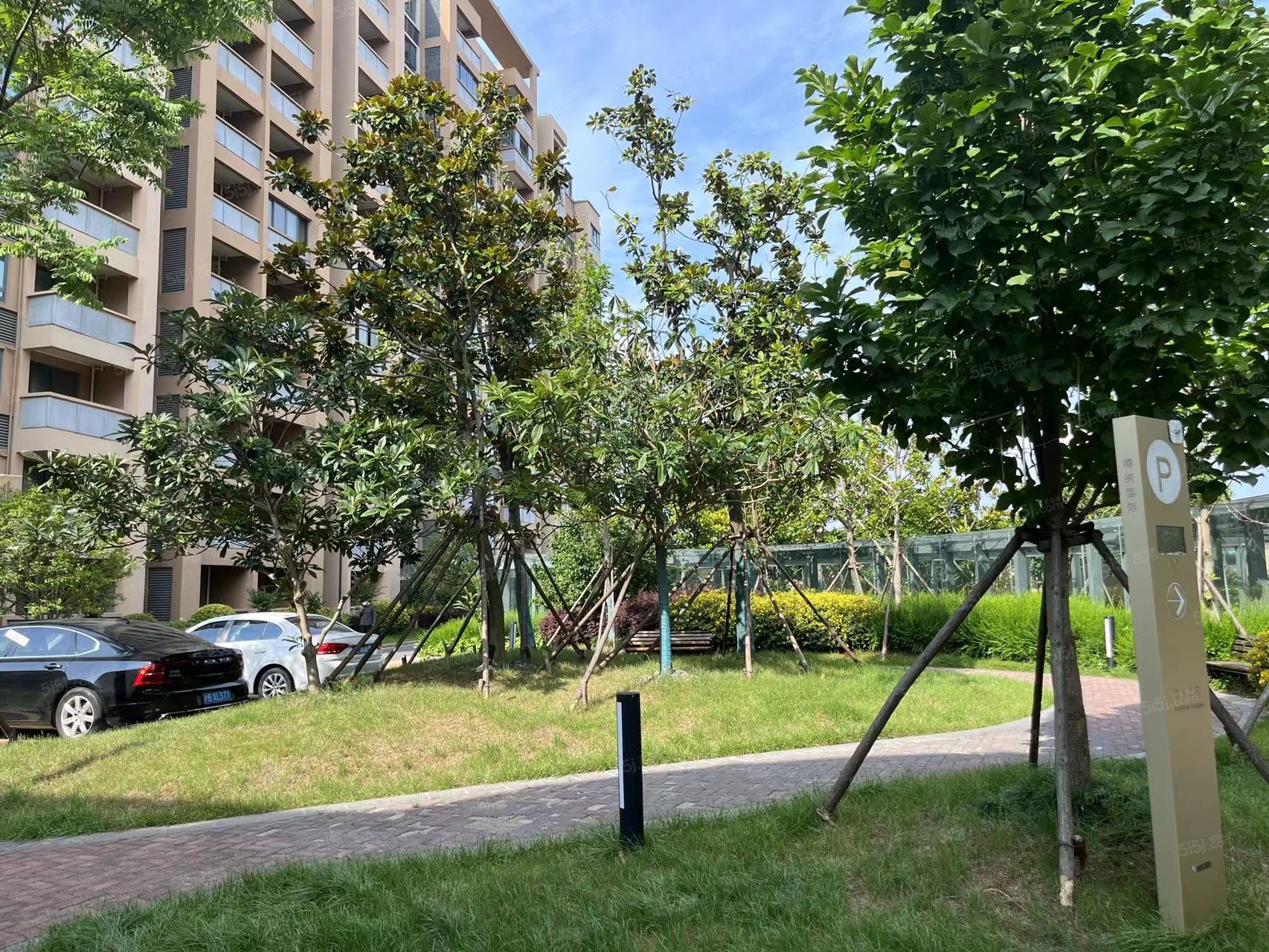 梧桐国际实景图