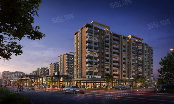 梧桐国际第1张图