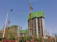 电建泷悦华庭二级合作房营业执照相册