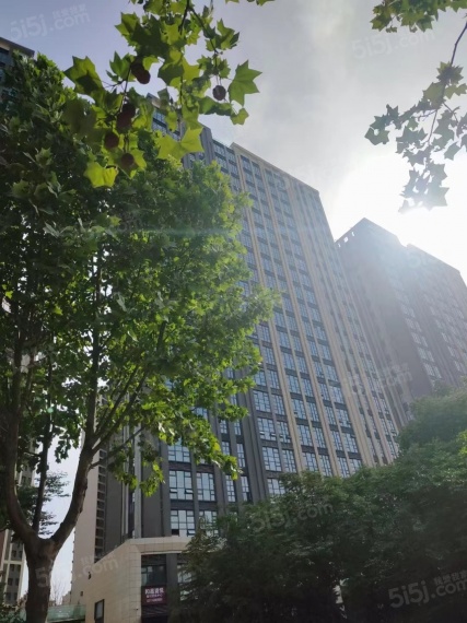 和昌优地实景图