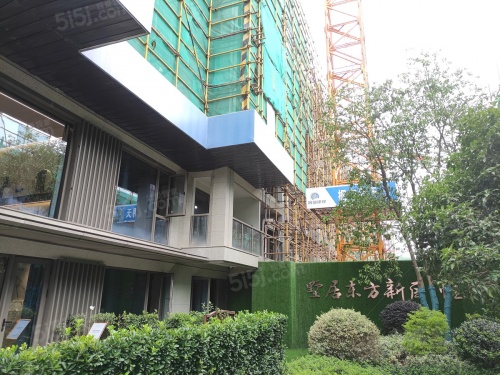 荣安东湖留庄第14张图