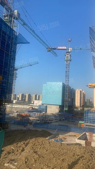 铂樾怡庭实景图