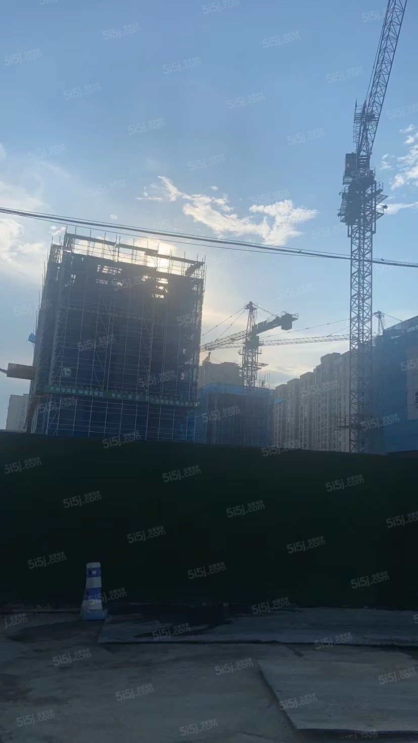 铂樾怡庭实景图