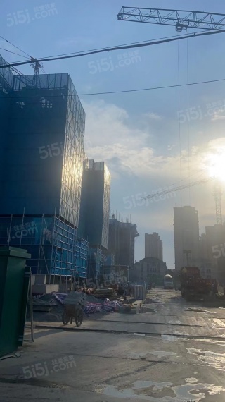 铂樾怡庭实景图