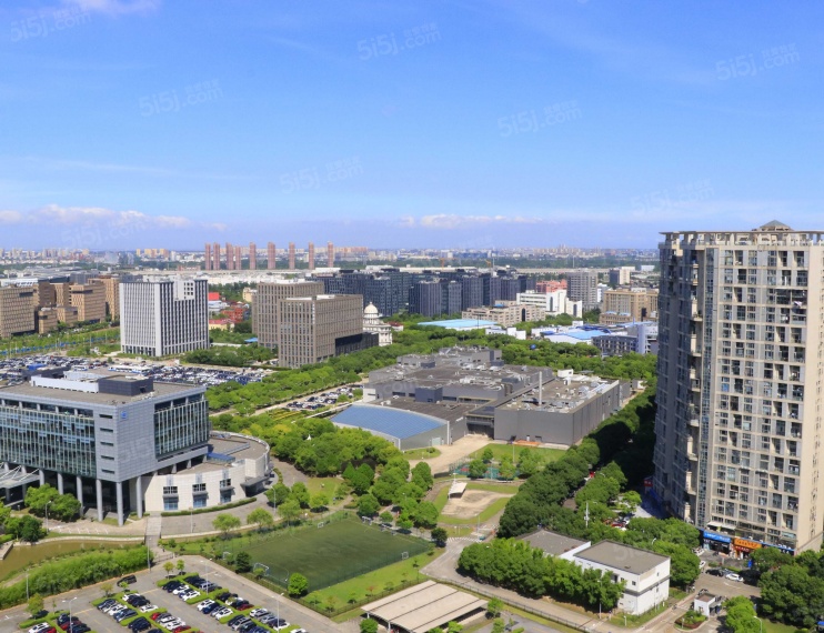 禹洲金桥国际实景图