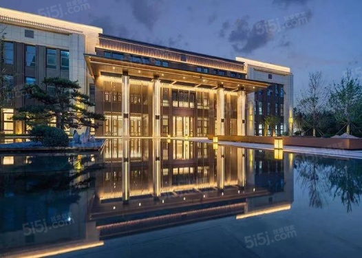 金辉滨河云著第4张图