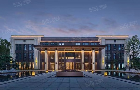 金辉滨河云著第3张图