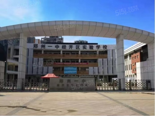 金辉滨河云著第12张图