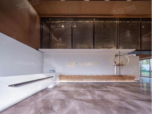 大华公园城市第1张图